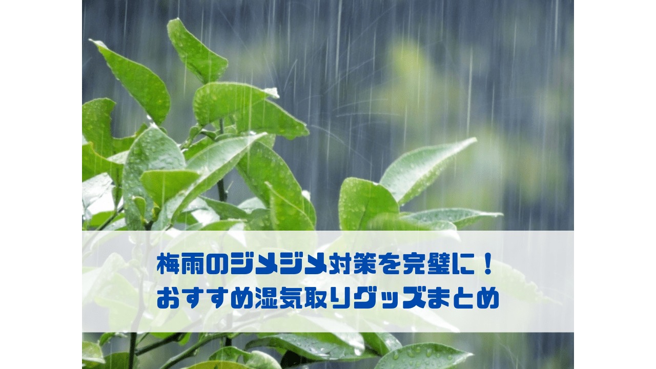 梅雨のジメジメ対策を完璧に！ おすすめ湿気取りグッズまとめ