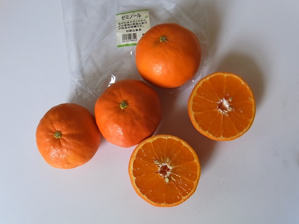 君は セミノール というジューシーな柑橘系果物を知っているかい はてなの果てに