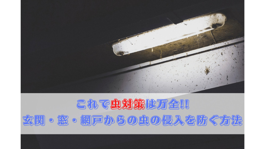 これで虫対策は万全!! 玄関・窓・網戸からの虫の侵入を防ぐ方法