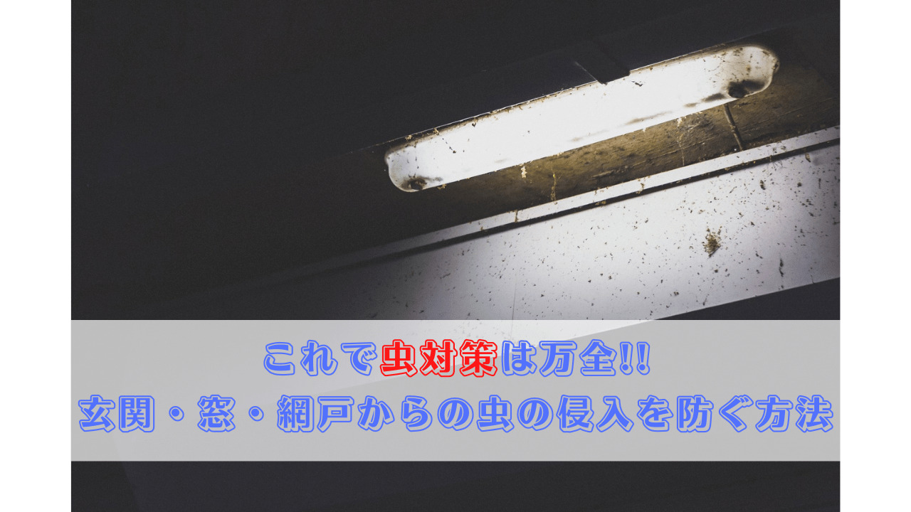 これで虫対策は万全 玄関 窓 網戸からの虫の侵入を防ぐ方法 はてなの果てに